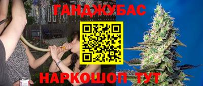 амф Новокубанск