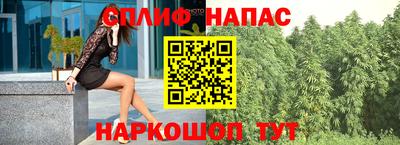 амф Новокубанск